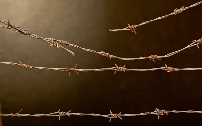 Imagen de Alambre para Cerco Eléctrico